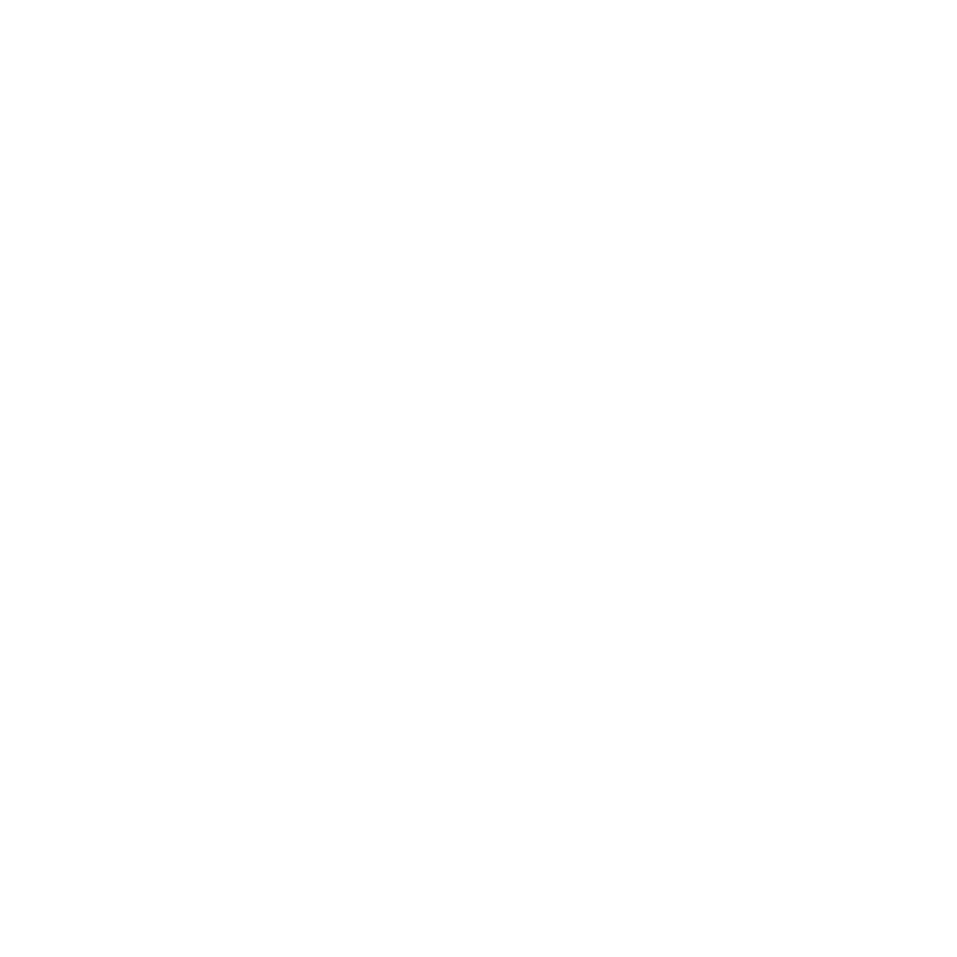 Free the Youth
